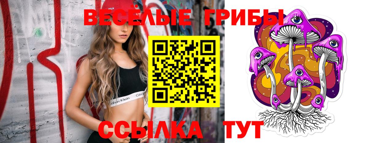 Мурино  Псилоцибиновые грибы мухоморы  Вход с VPN 